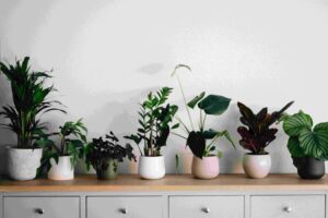 Smart Ways to Improve Home Indoor Air Quality