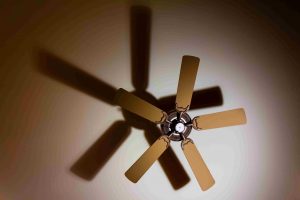 What Color Ceiling Fan Should You Buy