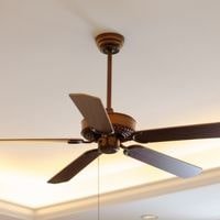 What Color Ceiling Fan Should You Buy