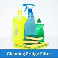 Cleaning Fridge Filter