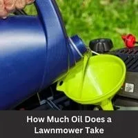 How Much Oil Does a Lawnmower Take