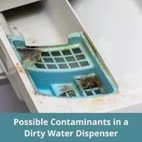 Possible Contaminants in a Dirty Water Dispenser