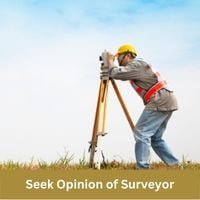 Seek Opinion of Surveyor