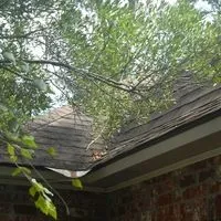 tree branches touching the roof