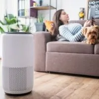 Best Air Purifier Without Ozone