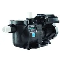 best variable speed pool pump in 2022