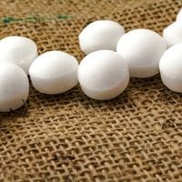 How To Get Rid Of Mothball Smell In House