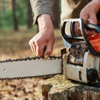 Best Chainsaw Chain For Hardwood 