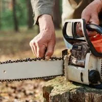 best chainsaw chain for hardwood