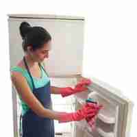 cleaning refrigerator door seals