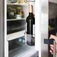 remove refrigerator door panel