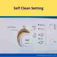 self clean setting
