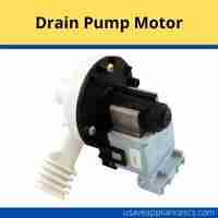 Drain pump motor