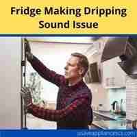 Fridge making dripping sound issue 2022