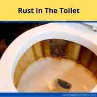 Rust in the toilet