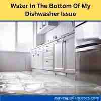 Water in the bottom of my dishwasher 2023 guide