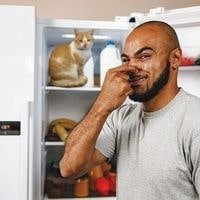 How to get odor out of refrigerator 2023 guide