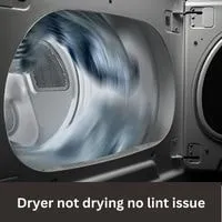 Dryer not drying no lint issue 2023 guide