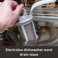 Electrolux dishwasher wont drain 2023 guide