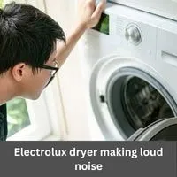 Electrolux dryer making loud noise