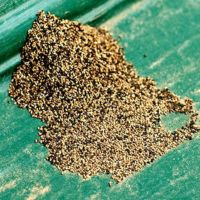 Reasons behind Termite Droppings