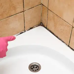 How to Clean Mold in Showers